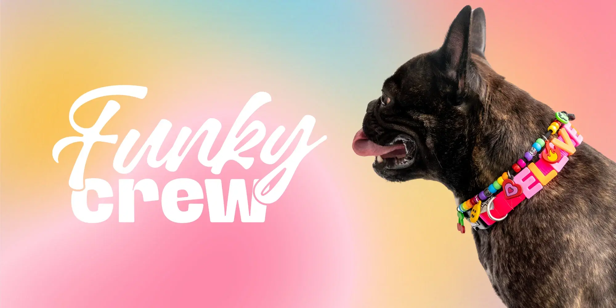 Funky Crew Banner 2