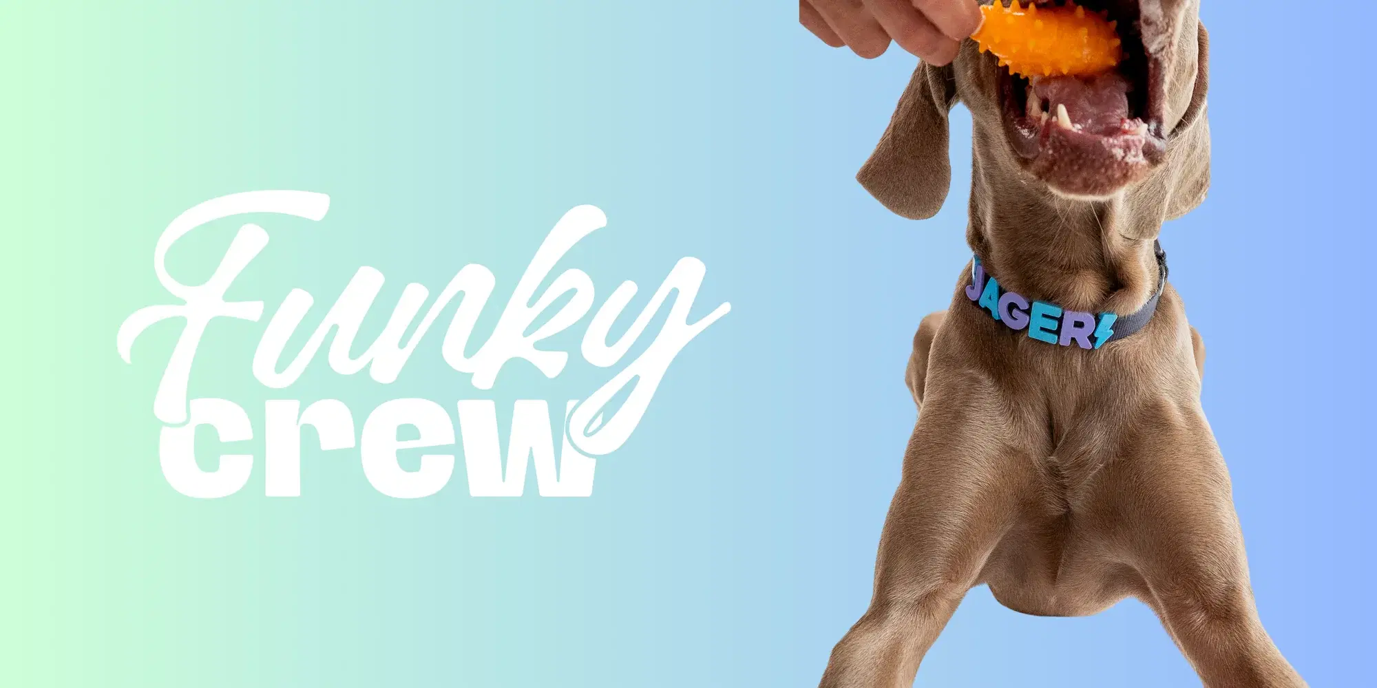 Funky Crew Banner 1